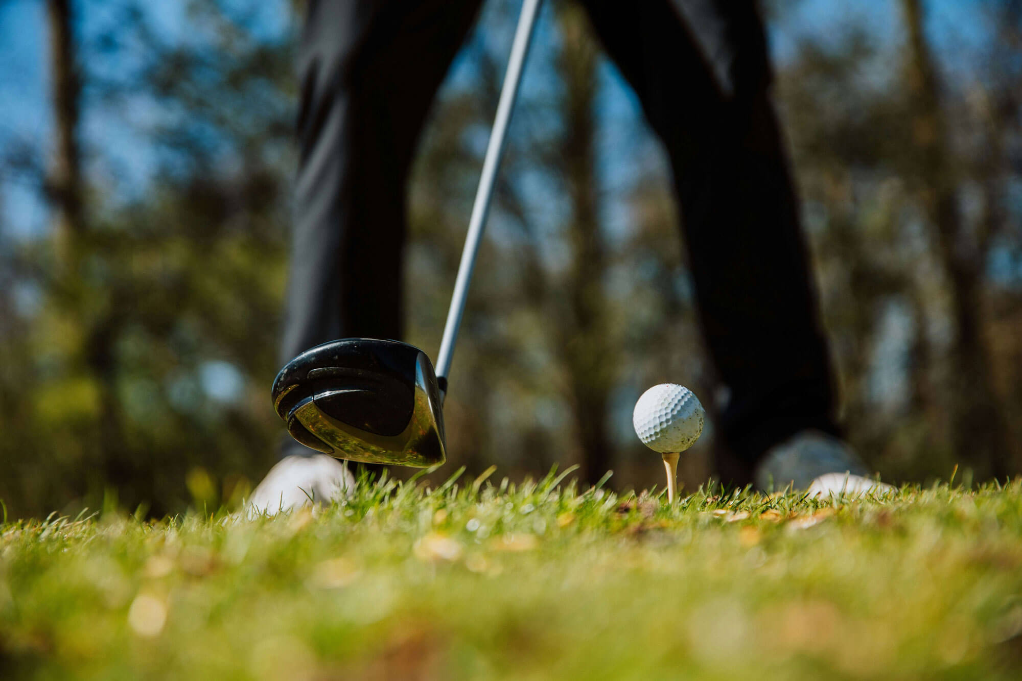 Close-up of a golfer preparing to hit a golf ball on a tee with a driver club, shown from a low angle on a grassy course with blurred trees in the background—perfect for those seeking premium golf memberships.