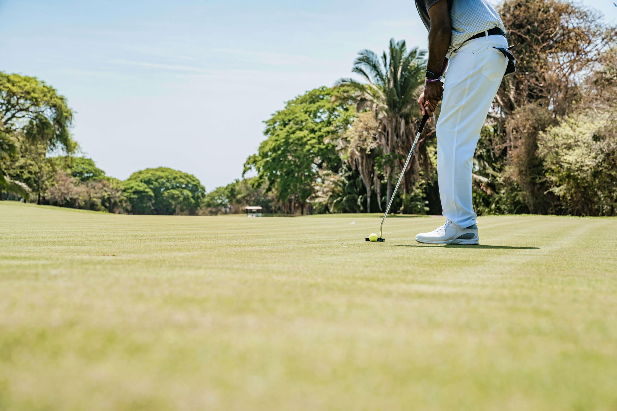 A golfer, dressed in white pants and shoes, prepares to putt on a well-manicured golf course surrounded by lush green trees under a clear sky—a perfect setting to enjoy golf lessons or explore exclusive golf memberships.