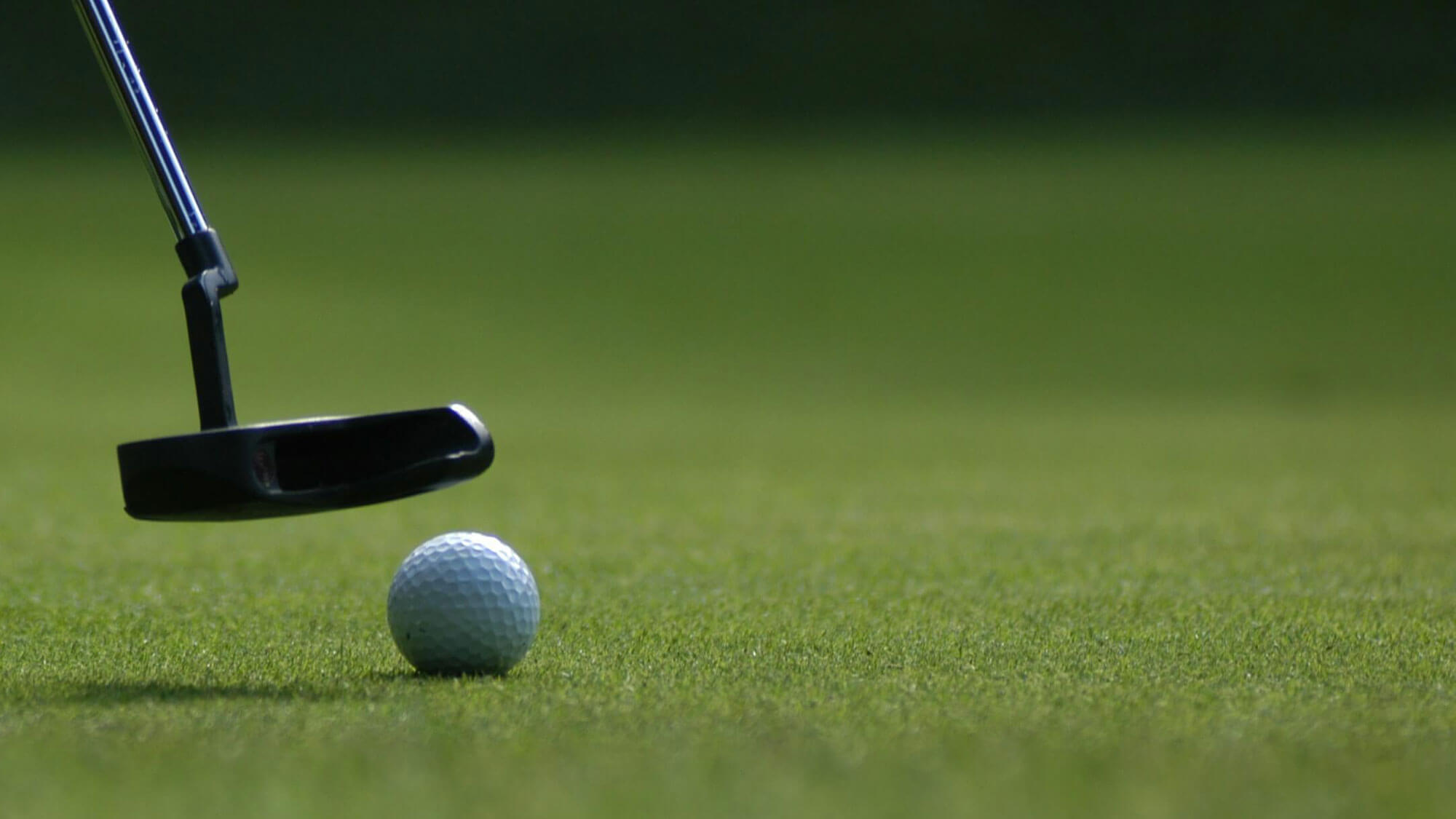 Golf lessons for beginners